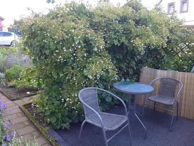 Ferienwohnung für 4 Personen (76 m²) in Sankt Andreasberg 2/10