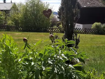 Ferienwohnung für 4 Personen (65 m²) in Sankt Andreasberg 3/10