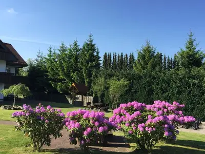 Ferienwohnung für 2 Personen (60 m²) in Sankt Andreasberg 3/10