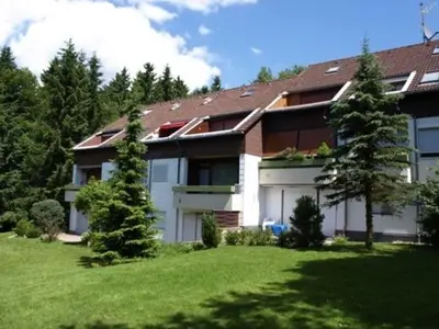 Ferienwohnung für 3 Personen (40 m²) in Sankt Andreasberg 1/10