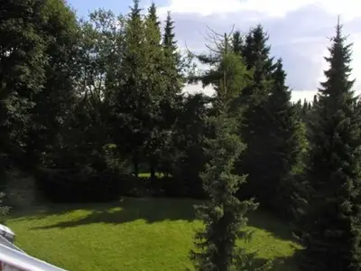 Ferienwohnung für 3 Personen (40 m²) in Sankt Andreasberg 3/10