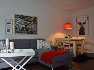 Ferienwohnung für 3 Personen (44 m²) in Sankt Andreasberg 3/10