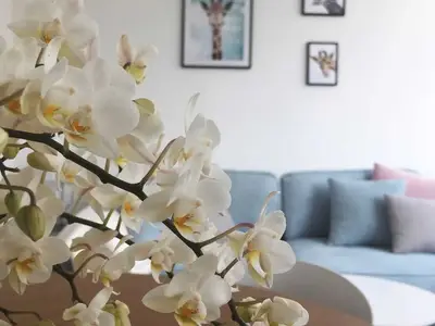 Ferienwohnung für 4 Personen (55 m²) in Sankt Andreasberg 1/10