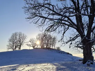 Ferienwohnung für 2 Personen (53 m²) in Sankt Andreasberg 1/10