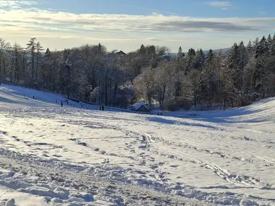 Ferienwohnung für 2 Personen (53 m²) in Sankt Andreasberg 9/10