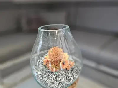 Ferienwohnung für 8 Personen (86 m²) in Sankt Andreasberg 7/10