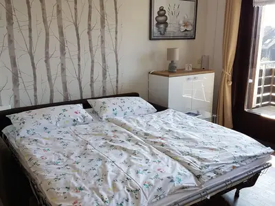 Ferienwohnung für 3 Personen (35 m²) in Sankt Andreasberg 4/10