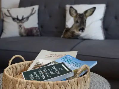 Ferienwohnung für 3 Personen (35 m²) in Sankt Andreasberg 9/10