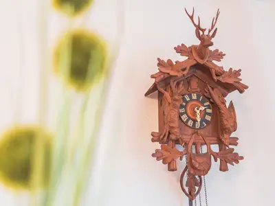 Ferienwohnung für 4 Personen (50 m²) in Sankt Andreasberg 8/10