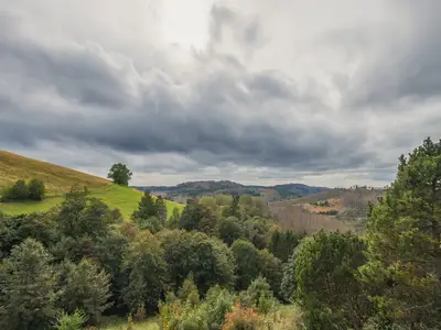 Ferienwohnung für 4 Personen (63 m²) in Sankt Andreasberg 9/10