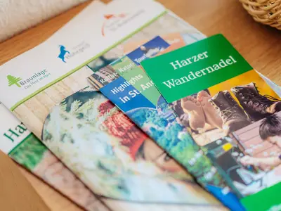 Bergschwalbe_Detail der Wohnung