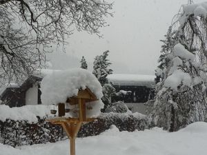 23392182-Ferienwohnung-4-Sankt Anton im Montafon-300x225-3