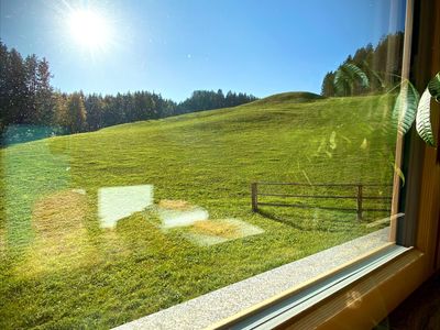 Blick aus dem Fenster Blick aus dem Fenster