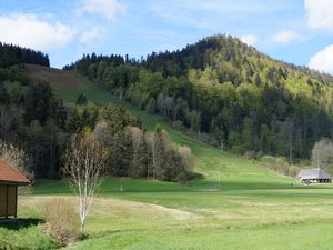 22070367-Ferienwohnung-5-Sankt Blasien-300x225-5