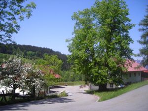 Urlaub auf dem Linde