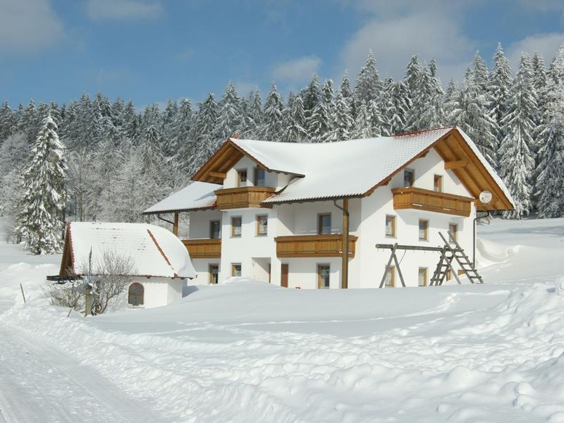 18580184-Ferienwohnung-4-Sankt Englmar-800x600-1