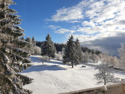 Ausblick vom Balkon