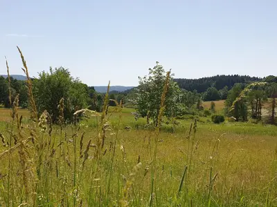 Kurpark im Sommer
