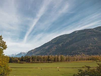 Ausblick ins nahe Pürgschachen Moor