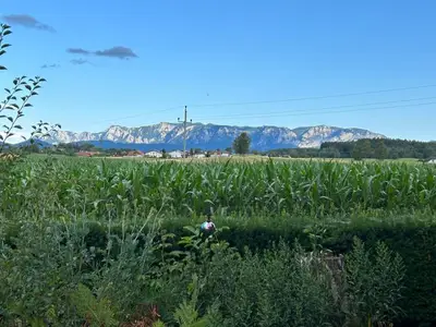 Ferienwohnung für 10 Personen (160 m²) in Sankt Georgen im Attergau 7/10