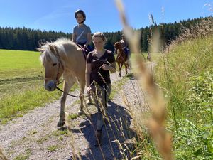Ferienwohnung für 7 Personen ab 69 € in Sankt Georgen im Schwarzwald