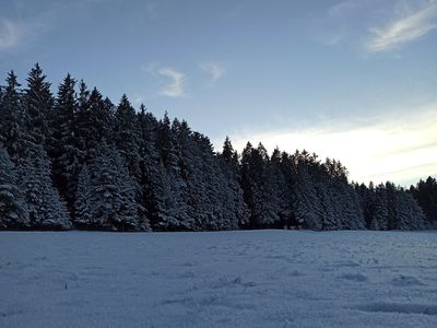 Brentenholz im Winter