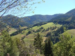 18362093-Ferienwohnung-4-Sankt Georgen im Schwarzwald-300x225-5