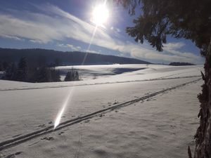 23696742-Ferienwohnung-5-Sankt Georgen im Schwarzwald-300x225-4