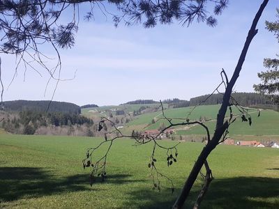 Blick Richtung Schonach