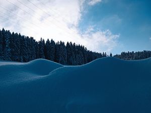 23829947-Ferienwohnung-4-Sankt Georgen im Schwarzwald-300x225-2