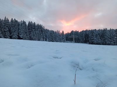 Winterlandschaft