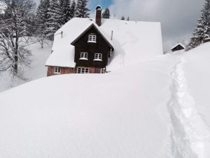 19383931-Ferienwohnung-6-Sankt Märgen-300x225-3