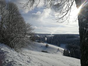 23349573-Ferienwohnung-4-Sankt Märgen-300x225-3