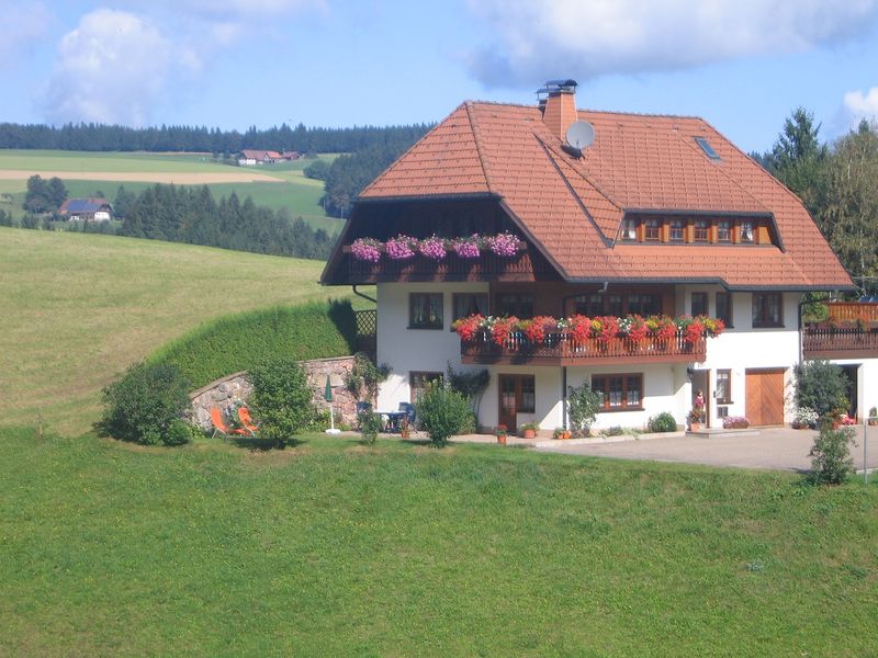 19064949-Ferienwohnung-2-Sankt Märgen-800x600-1