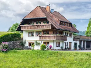 Ferienwohnung für 3 Personen (40 m²) in Sankt Märgen