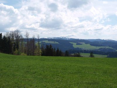 Feldbergblick