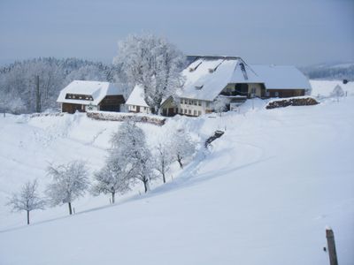 Hof im Winter