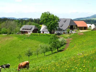 Hof im Sommer