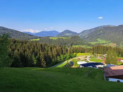 ViewSummer