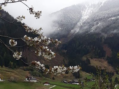 Frühling wird's