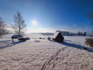 23144977-Ferienwohnung-4-Sankt Oswald-Riedlhütte-300x225-2