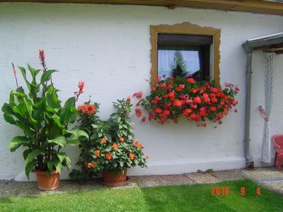 Ferienwohnung für 4 Personen (100 m²) in Sankt Oswald-Riedlhütte 10/10