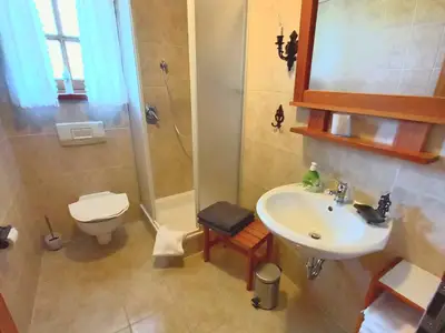 Bad lilie nelke tulp