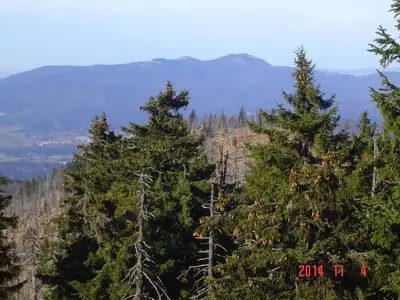Ferienwohnung für 2 Personen (50 m²) in Riedlhütte 10/10