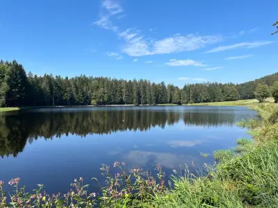 Ferienwohnung für 4 Personen (100 m²) in Riedlhütte 8/10