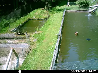 Ferienwohnung für 4 Personen (80 m²) in Riedlhütte 7/10