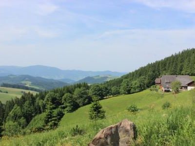 Kapfenmathishof mit herrlichem Weitblick