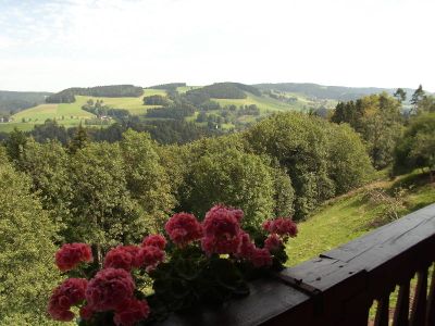 Aussicht vom Balkon