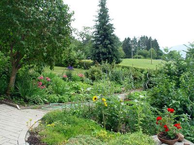 Blick in den Garten