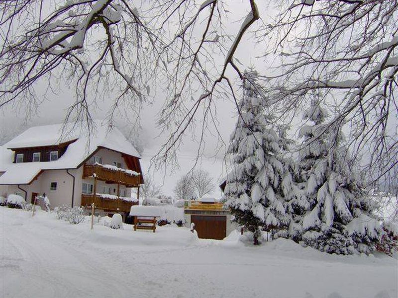 19048019-Ferienwohnung-3-Sankt Peter (Schwarzwald)-800x600-1